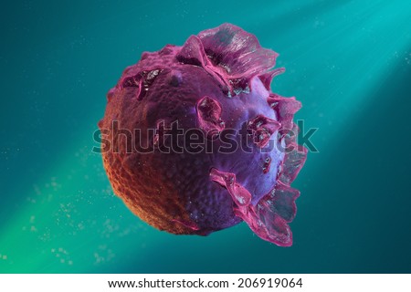 Epstein-Barr virus, Human Herpes Virus, Infectious Mononucleosis, 'The Kissing Disease' Stock photo © 