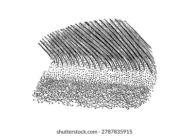 Equine hoof's inner surface, using dense lines, stippling, and organic clustered marks to create a textured, layered appearance that suggests movement and biological depth, old vintage illustration, 1889.
