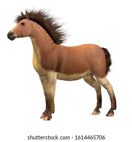 Equus Scotti Horse 3D Illustration - This Primitive Horse Lived In North America During The Pleistocene Period And Became Extinct.