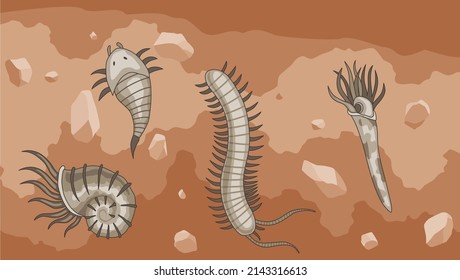 Era Of Earth History. Scene With Various Simplest Animals In Soil Layer. Primary Buried Underground