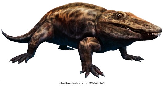 Eryops 3D Illustration