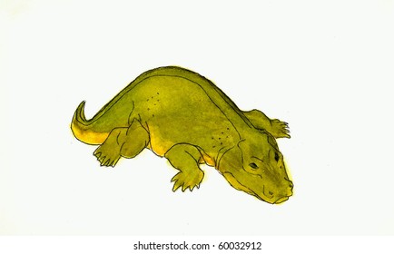 Eryops (Dinosaur)