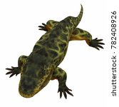 Eryops Dinosaur on White 3D illustration - Eryops was an semi-aquatic ambush predator much like the modern crocodile and lived in Texas, New Mexico and the Eastern USA in the Permian Period.