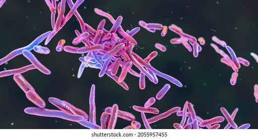 Erysipelothrix Bacteria 3d Illustration Species Pleomorphic Stock ...