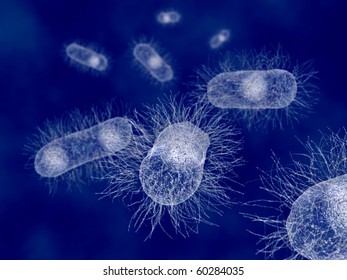 Escherichia Coli Bacteria