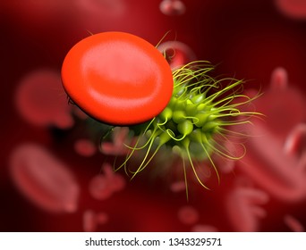 Escherichia coli bacterium in blood, 3D illustration. Sepsis, bacteriemia