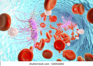Escherichia coli bacterium in blood, 3D illustration. Sepsis, bacteriemia. Illustration shows rod-shaped bacterium E. coli with peritrichous flagella
