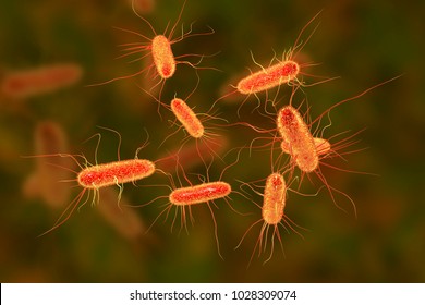 E Coli Images Stock Photos Vectors Shutterstock