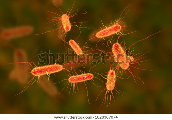 Escherichia coli bacterium, E.coli,\
gram-negative rod-shaped bacteria, part of intestinal normal flora\
and causative agent of diarrhea and inflammations of different\
location, 3D\
illustration