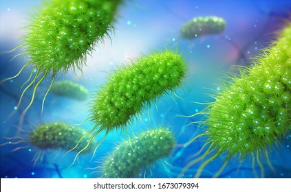 Escherichia Coli, Colony Of Bacteria 3D Illustration. Microorganisms In Aquatic Environment Under Microscope. Probiotics. Intestinal Bacteria, Gut Flora