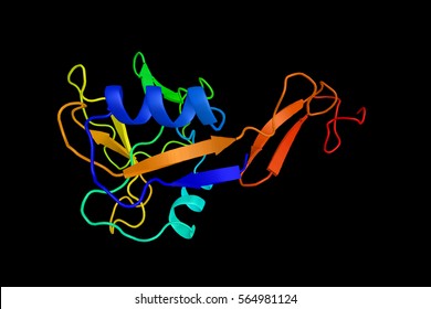E-selectin, which recognizes and binds to sialylated carbohydrates present on the surface proteins of certain leukocytes. 3d rendering.
