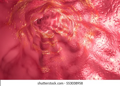 Esophagus Mucosa And Esophageal Sphincter, 3D Illustration