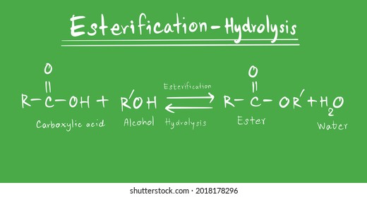 Esterification And Hydrolysis Equation In Chemistry On Chalkboard Background