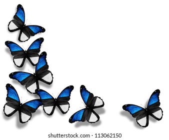 Estonian flag butterflies, isolated on white background