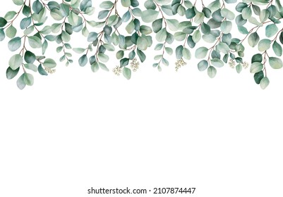  Eucalyptus Bouquet ,floral Frame Leaves Frame Watercolor Digital Hand Painted Eucalyptus Branches And Leaves Isolated On White Background. Design, Print, Fabric Or Background With Clipping Path 