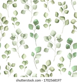 Eucalyptus Leaves On A White Background. Watercolor Botanical Illustration, Seamless Pattern.