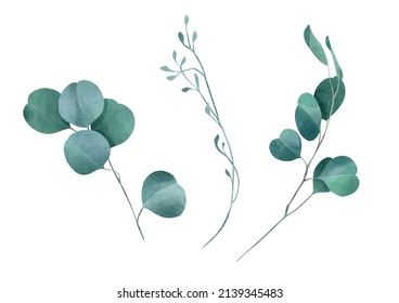 Eucalyptus Watercolor Floral Illustration Set Stock Illustration ...