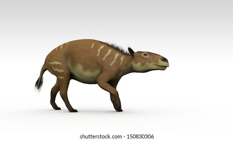 Eurohippus Images, Stock Photos & Vectors | Shutterstock