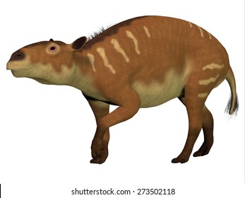 1,644 Prehistoric horse Images, Stock Photos & Vectors | Shutterstock