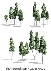 European Aspen Tree On White Background, 3D Illustration, 3D Rendering