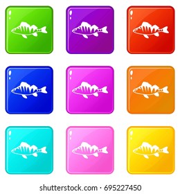 European Perch, Perca Fluviatilis Icons Of 9 Color Set Isolated  Illustration