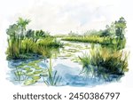 Everglades National Park, Florida, USA watercolor painting beautiful illustration abstract background