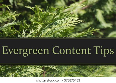Evergreen Content Tips, Evergreen Background And Text Evergreen Content Tips