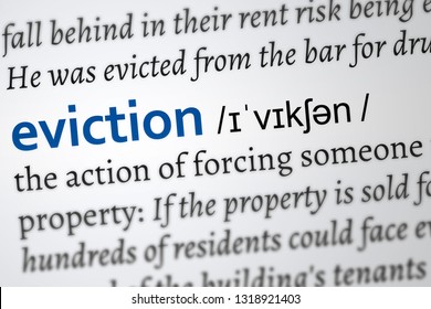 human eviction silverback meaning