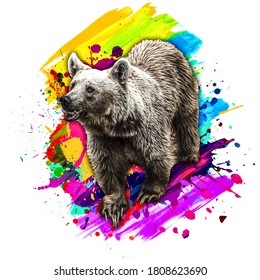 Evil Bear On A Bright Background