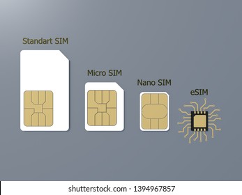 Evolution Sim Cards Esim Embedded Sim Stock Illustration 1394967857 ...