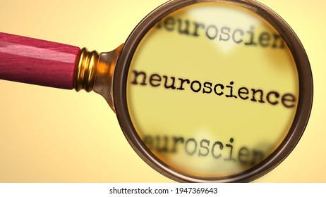 Examine And Study Neuroscience, Showed As A Magnify Glass And Word Neuroscience To Symbolize Process Of Analyzing, Exploring, Learning And Taking A Closer Look At Neuroscience, 3d Illustration