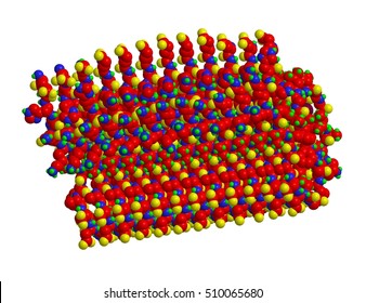 Example Of Amyloid Beta Structure, 3D Rendering