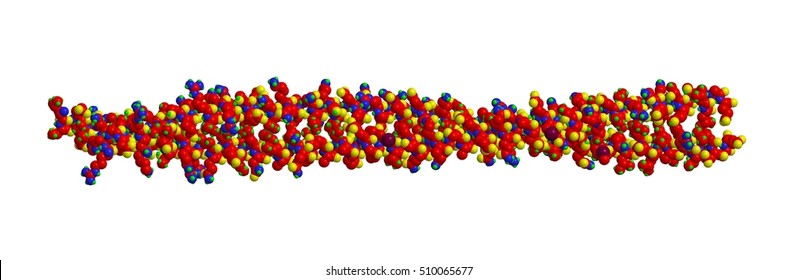 Example Of Keratin Structure -  Fibrous Structural Proteins, 3D Rendering