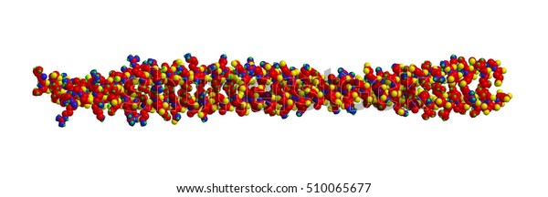 ケラチン構造の例 繊維状の構造タンパク質 3dレンダリング のイラスト素材