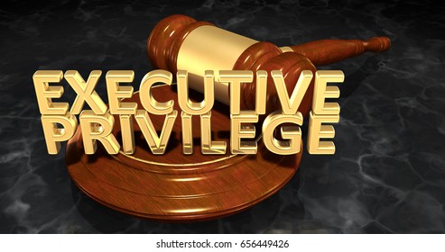 Executive Privilege Law Concept 3D Illustration