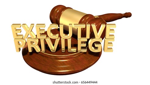 Executive Privilege Law Concept 3D Illustration