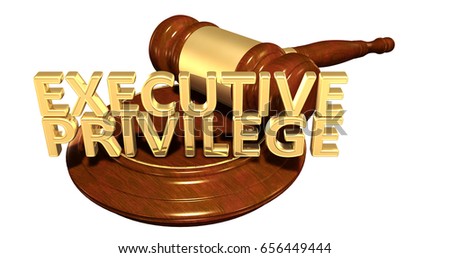 Executive Privilege Law Concept 3D Illustration