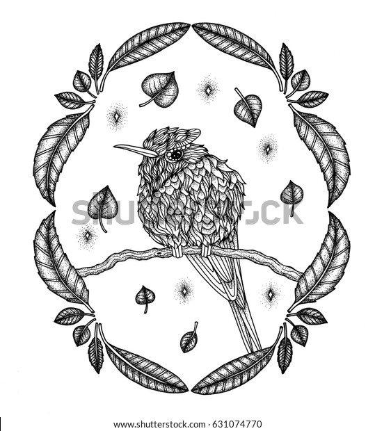Exotic Bird Coloring Page Stock Illustration 631074770