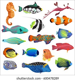 Exotic Cartoon Colorful Tropical Fish Collection Stock Vector (Royalty ...