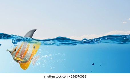 Exotic fish in water wearing shark fin to scare predators - Shutterstock ID 354370088