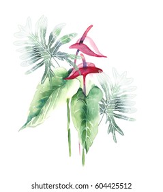 Exotic Flowers. Watercolor Illustration.