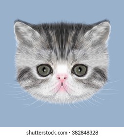 Exotic Shorthair Kitten Illustrated Portrait Of Black Tabby On Blue Background