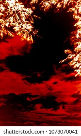 Exotic sky and red clouds background.
