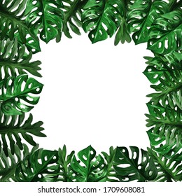 Palm Leaf Border High Res Stock Images Shutterstock