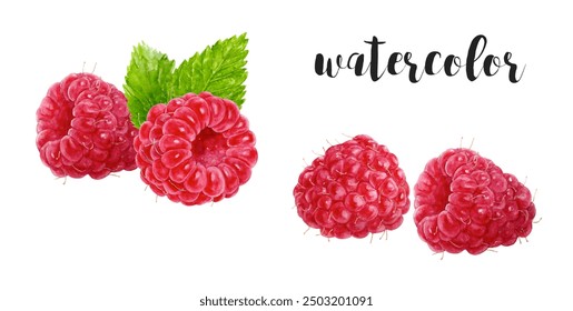 Experience the beauty of Vibrant Watercolor Raspberries adorned with Fresh Mint Leaves - Powered by Shutterstock