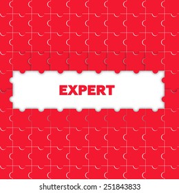 EXPERT