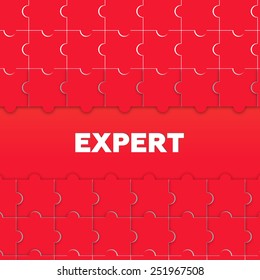 EXPERT