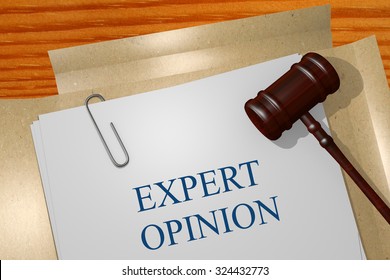 Expert Opinion Title On Legal Documents
