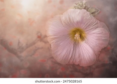 Exquisite Blossom Captured in Jerusalem Botanical Garden - Artful Floral Photography" - Powered by Shutterstock