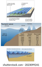 External Geodynamics. Modeling Of The Coastal Relief. Changes Due To Waves.Physical Behavior Of The Waves. The Tsunami